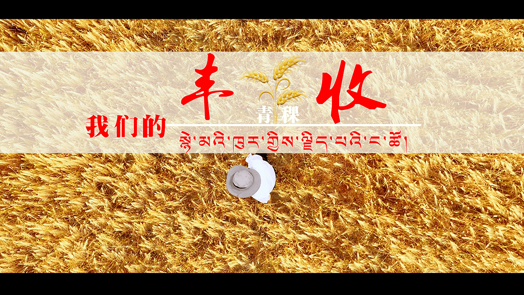 视频新闻封面